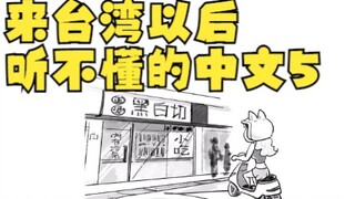 来台湾以后，听不懂的中文5