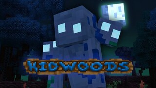 The Most Amazing Minecraft Mod To Ever Exist (Hidwoods)