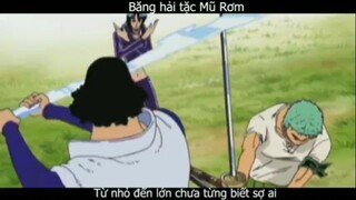 Băng Mũ Rơm từ nhỏ đến lớn chưa ngán ai #anime