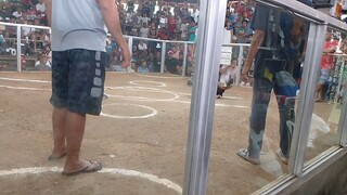 my sweater x Gilmore ❤️