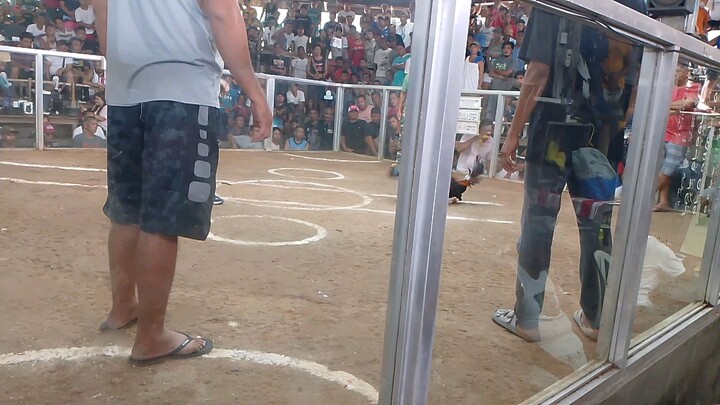 my sweater x Gilmore ❤️