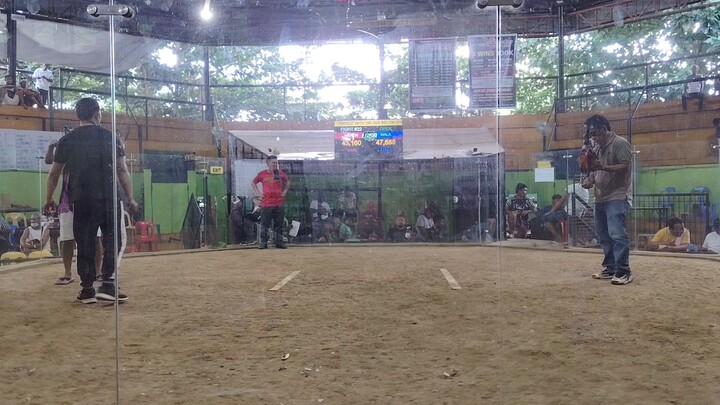 Ultra 2 wins lumbia 2nd (fight entry 2 fighting for champion)