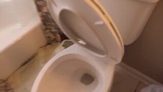 当你半夜上厕所不小心让马桶圈砸下来