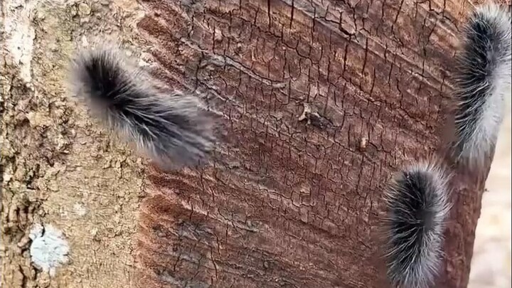 มาดูกันว่ามีสถานที่ทำงานสุดน่าทึ่งไหนบ้าง!