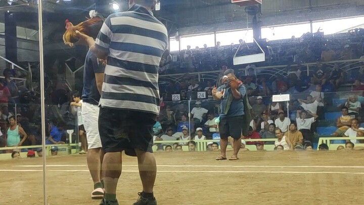 lucena pride @ LCA