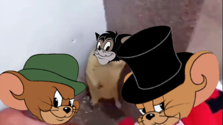 Look, the black rat is scared