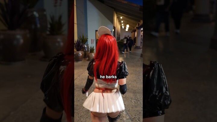 He barks. WHERE!? #cosplay #cosplayer #shorts