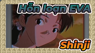 Hỗn loạn EVA| Bạn càng ghét Shinji bao nhiêu thì càng giống anh ta bấy nhiêu