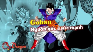 [Hồ sơ nhân vật]. Son Gohan – Nguồn gốc và sức mạnh