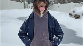 "الأناقة تكمن في القطع الأكثر بساطة"