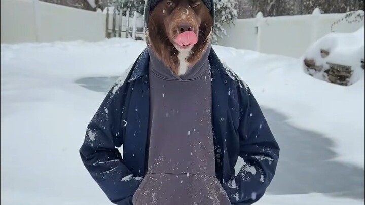 “时尚就是最为简单的单品"