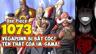 Gorosei KHÔNG BẤT TỬ! Tiết lộ TÊN THẬT của Im Sama! - Phân Tích One Piece Chap 1073