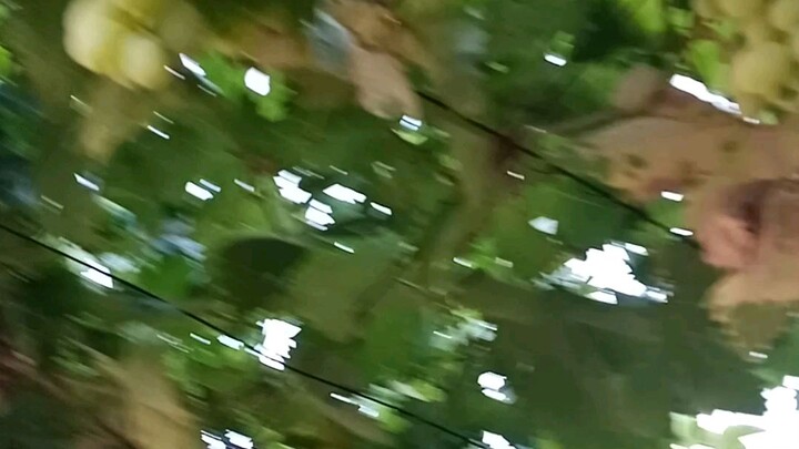 gulay.🤔🤔🤔😂😂gusto ko sanang bumalik ulit doon..