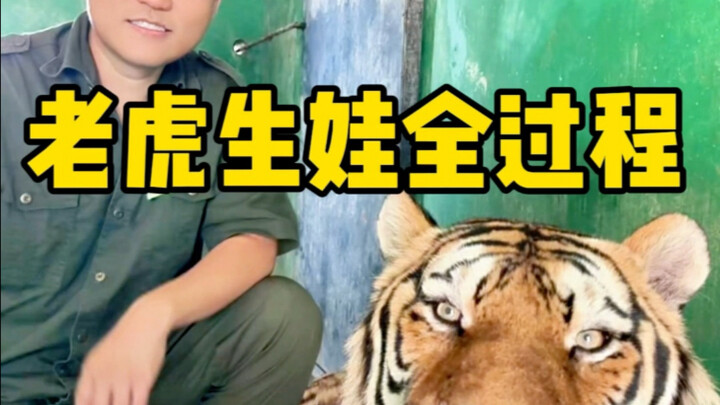 Salam untuk kasih sayang ibu yang agung!