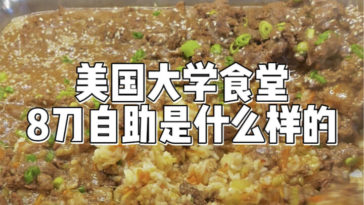 Buffet 8 đô ở căng-tin đại học Mỹ | Suýt quên đăng lên Bilibili rồi haha