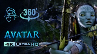 我花了100天来蹭热度【360度3D还原《阿凡达》潘多拉星球】