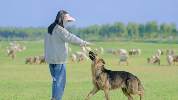 I asked her whether she loves her job more or tending sheep—and her answer totally blew me away.