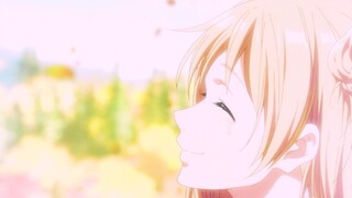 [MAD·AMV] Rain on flowers