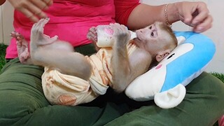 Obedient Sono Very Handsome Wear Towel Drinking Milk