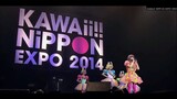 Kyary Pamyu Pamyu KAWAii!! NiPPON EXPO 2014