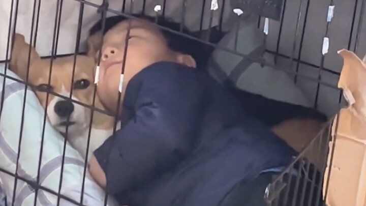 “The Age Even Cats and Dogs Dislike”