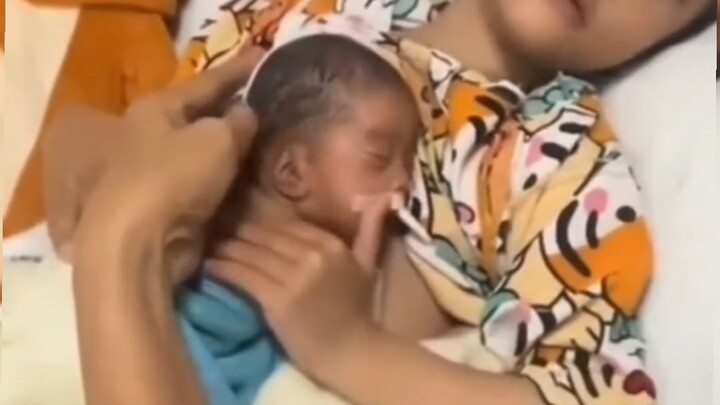 it's a mother???