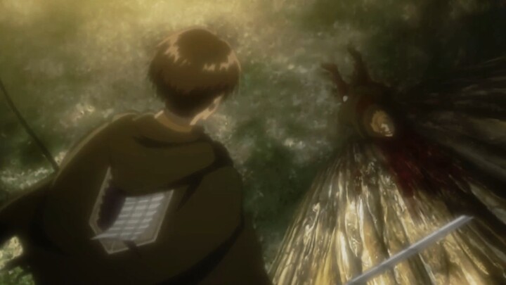 Will is always victorious, Levi is always defeated