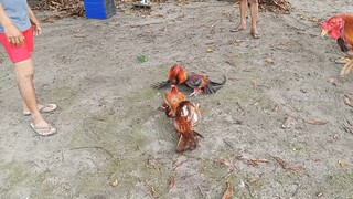 bitaw ni Gilmore hatch pangalawang sayaw