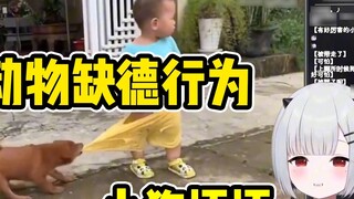 Baby's review of animals' bad behavior