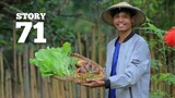A healthy meal from my front yard garden | Story 71 | Filipino Countryside Life