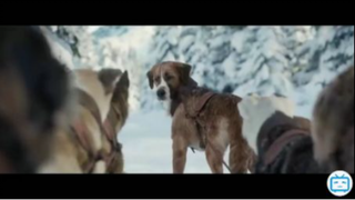 ELGIT DODA  LARG Remix Movie Name  the call of the wild #filmhay