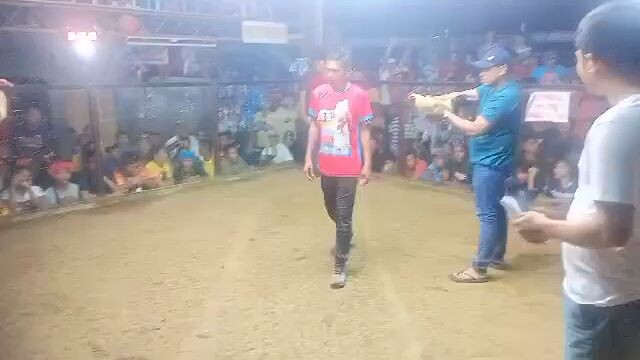 3 hits ulutan # last fight for champ. # L