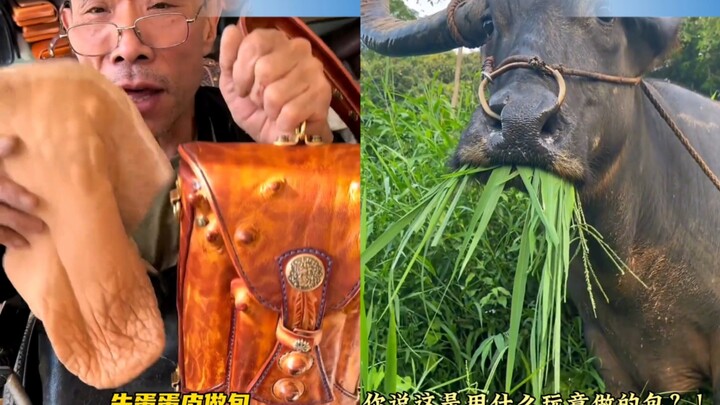 حقيبة مصنوعة من جلد بيض البقر، يقول الأستاذ إن لها طابعًا خاصًا… يا له من إثراء للمعرفة!