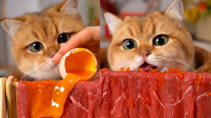 Cat: So this is how you’re supposed to eat steak! I’ve learned something new!