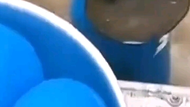 สอนใช้ปืนฉีดน้ำแบบสดๆ ที่สถานที่เกิดเหตุ