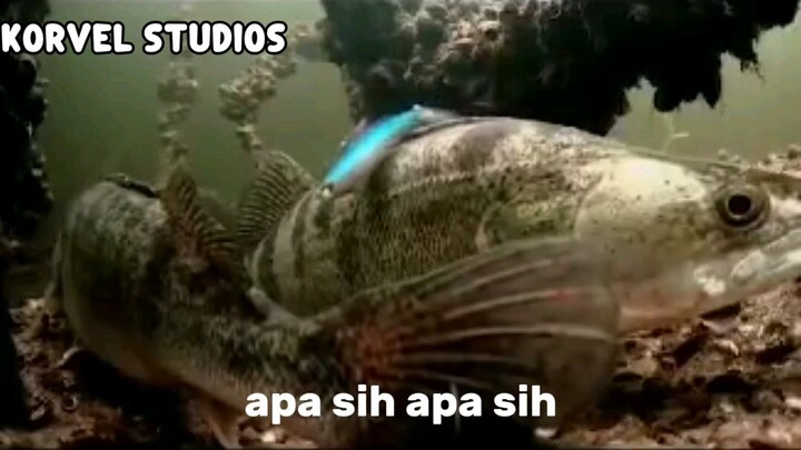 KEJADIANNYA BEGITU CEPAT