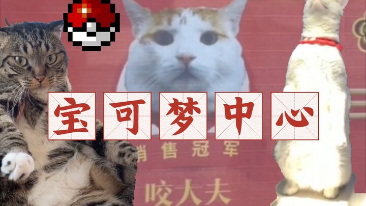 【Cat Pokémon】Listen to Expert Cat Doctor’s Advice on How to Treat Sick Humans