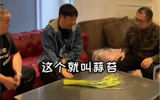 Jia Bing: No one in the company knows about garlic sprouts. Whoever can buy some will be rewarded 20