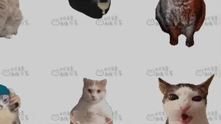 Meme cat expression pack (like 50 tutorial