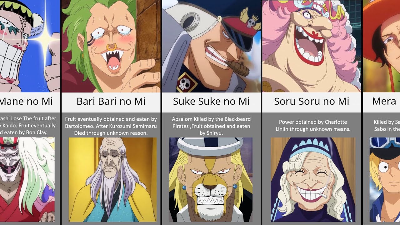 What is the power of the Soru Soru no Mi (One Piece devil fruit