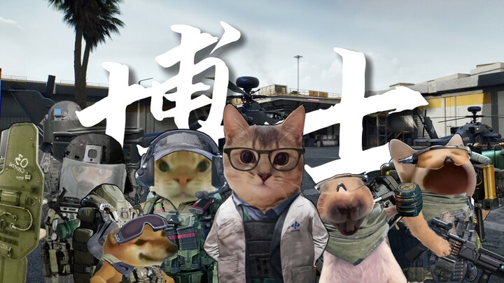 巴克什博士护送记