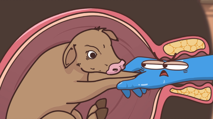 “Bullshitting” is a skill in itself