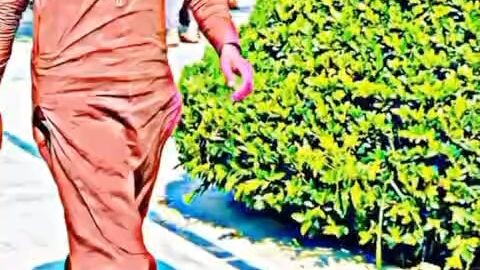 Slow Motion Video King 👑