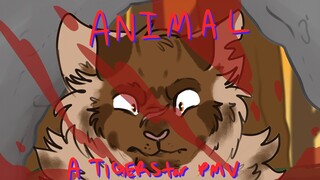Animal—A Tigerstar PMV