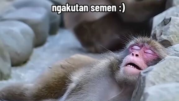 ulah di ganngu titik.