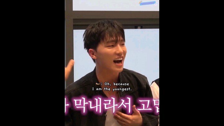 na pd is thankful because dino is the maknae 😆😂😭 #seventeen #dino #napd