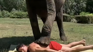 The baby elephant has accompanied the boy for over 20 years and has now become the young man's "elep