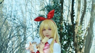 【White Nymph】 Hoshimiya Hashio Kasan nhảy bài hát đi học / Shining Line / Let's Idol Event Your Shin