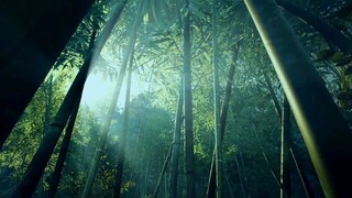 THE ETERNAL STRIFE EP 2 SUB INDO