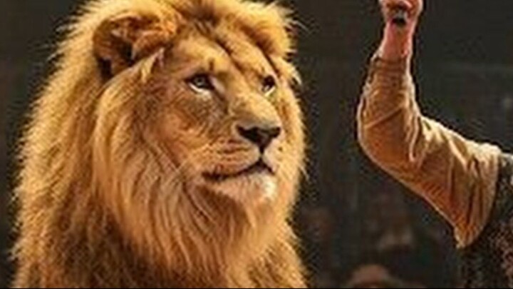 कसैले बनाउन सक्दैन दास! 🐺 ब्वाँसोको यो रहस्य थाहा पाउनुहोस्!